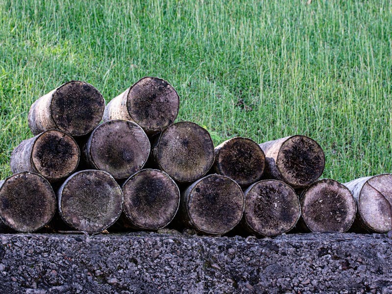 Tuinafval container huren